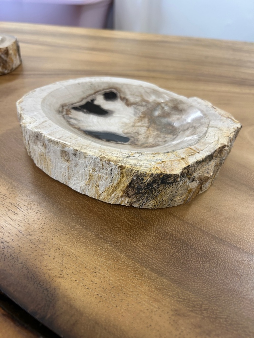 Petrified Wood Decorative Bowl - Picture 13 of 17